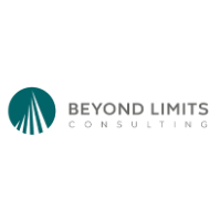 Consulting Beyond Limits